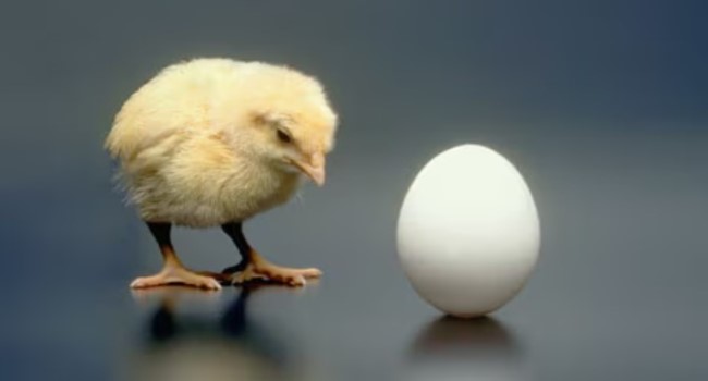 High Yield Spreads:  The Chicken or the Egg